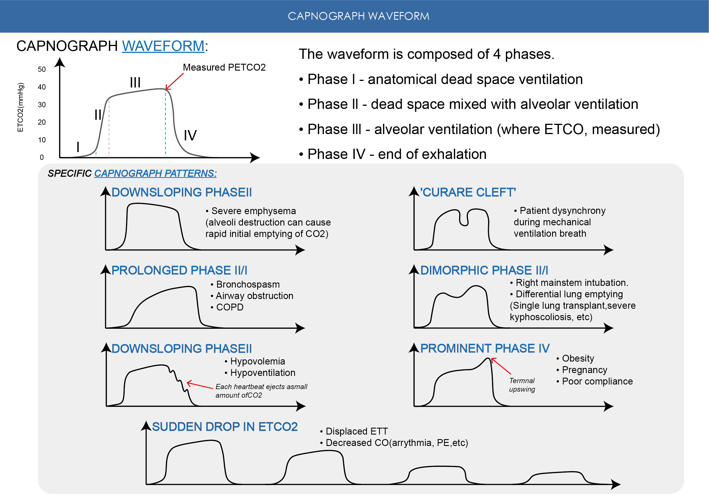 ETCO₂ Monitoring: Key Insights into Patient Respiration and Circulation